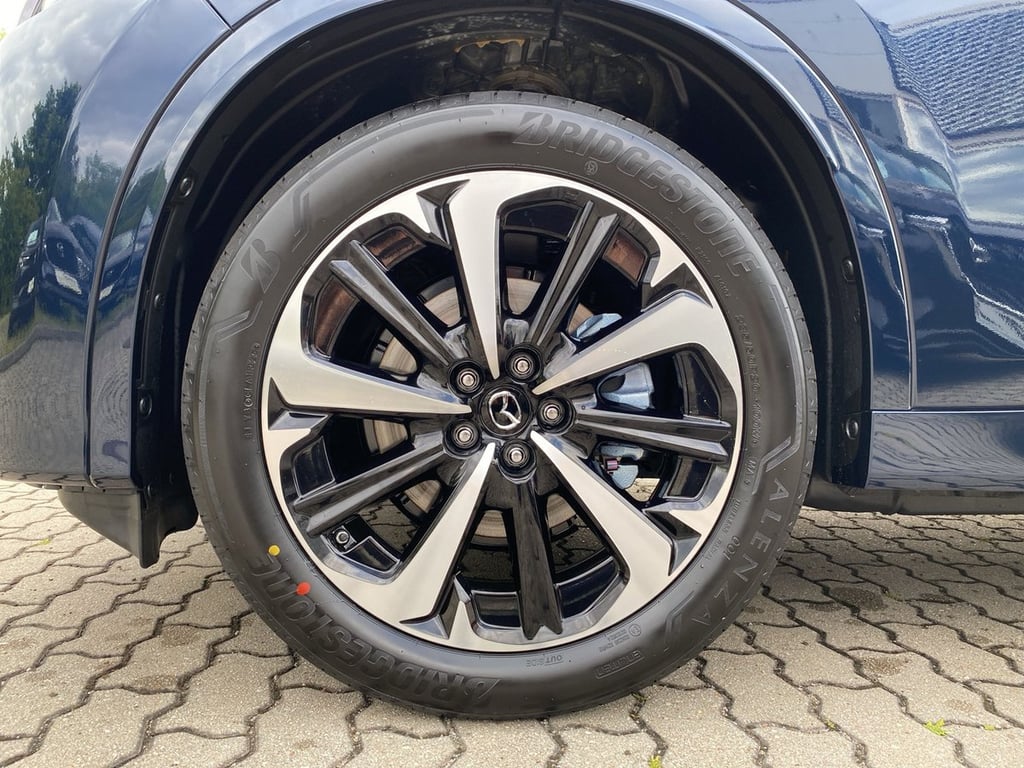 Auto Abo Foto Nummer 9 von 16