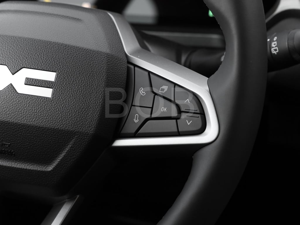 Auto Abo Foto Nummer 6 von 10