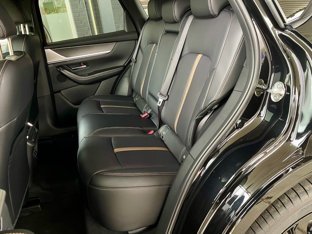 Auto Abo Foto Nummer 12 von 12