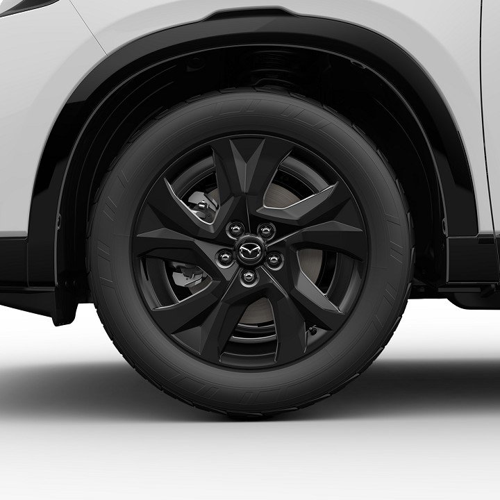 Auto Abo Foto Nummer 3 von 3