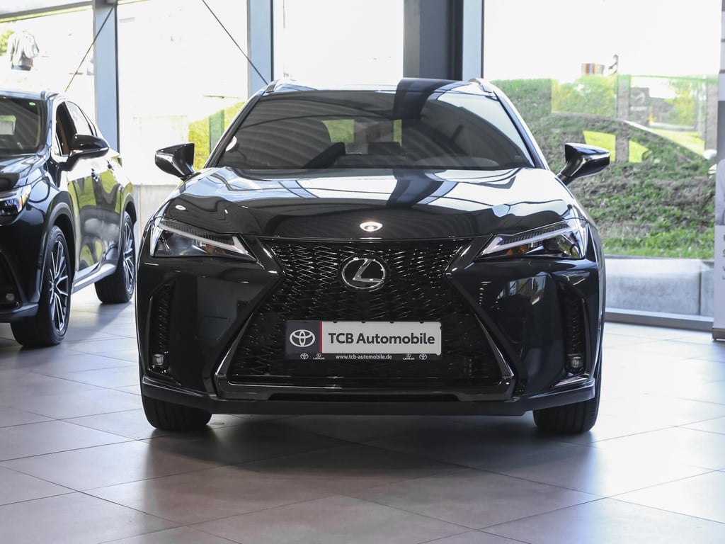 Auto Abo Foto Nummer 20 von 20