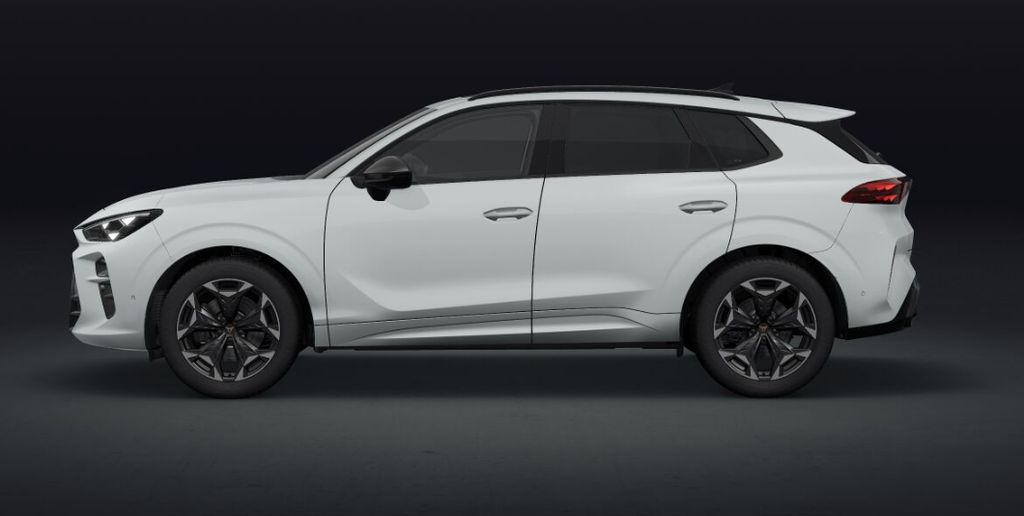 Auto Abo Foto Nummer 3 von 6