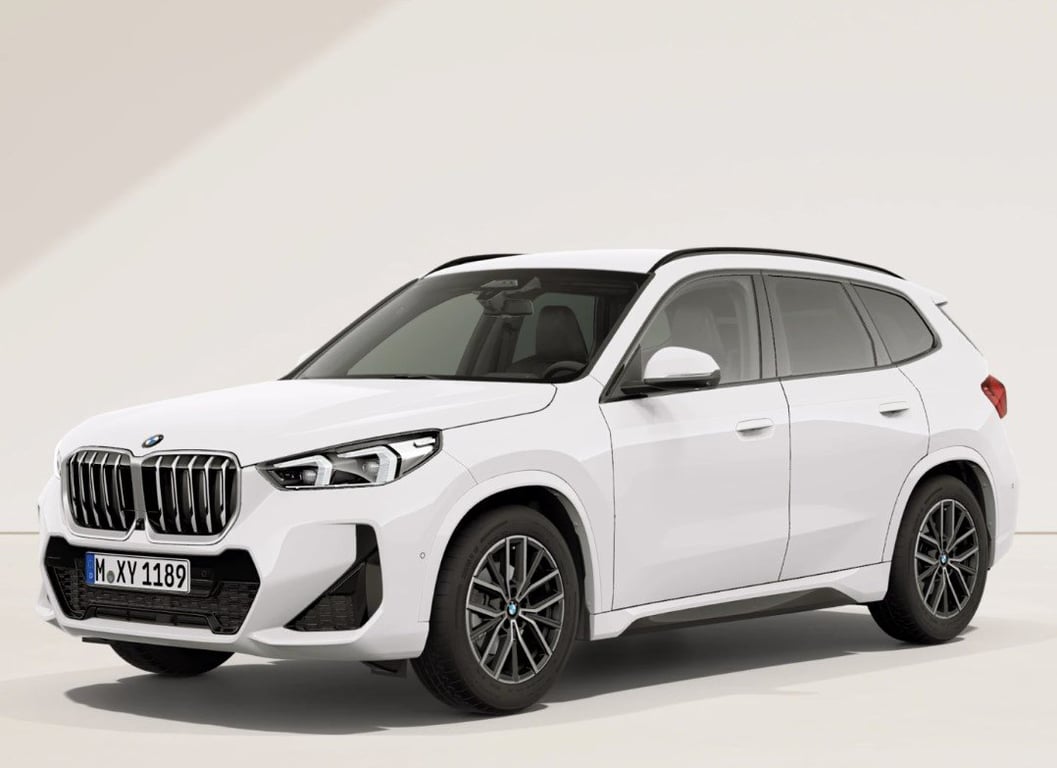 Auto Abo Foto Nummer 9 von 15