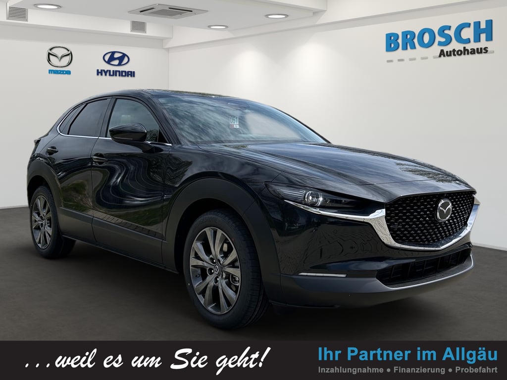 Auto Abo Foto Nummer 2 von 17