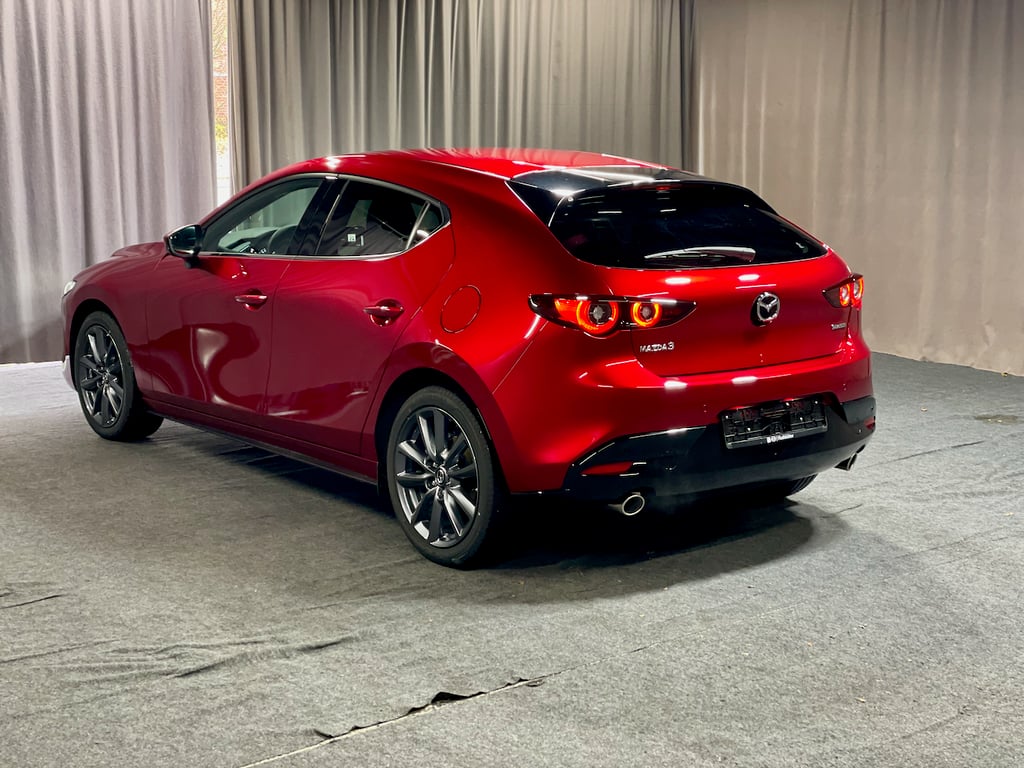 Auto Abo Foto Nummer 6 von 19