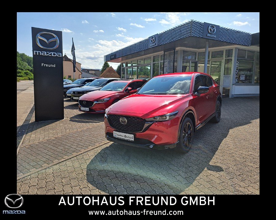 Auto Abo Foto Nummer 2 von 16