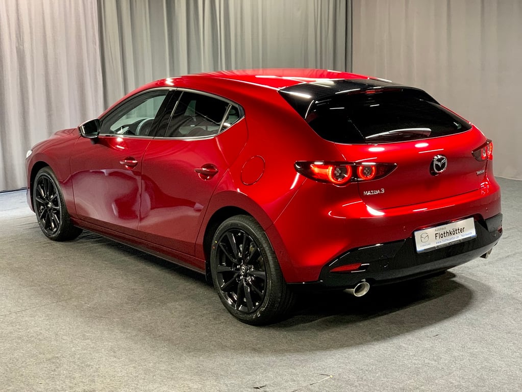 Auto Abo Foto Nummer 6 von 16