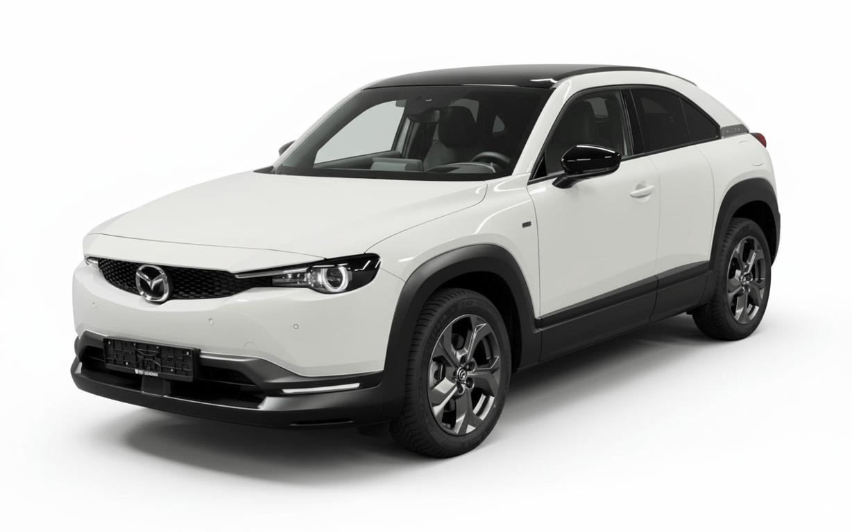 Auto Abo Foto Nummer 20 von 20