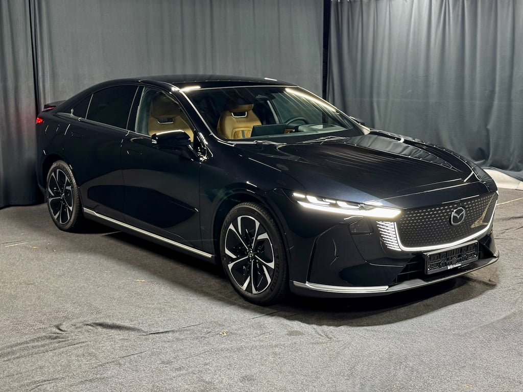 Auto Abo Foto Nummer 19 von 20