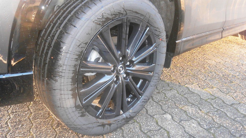 Auto Abo Foto Nummer 7 von 11