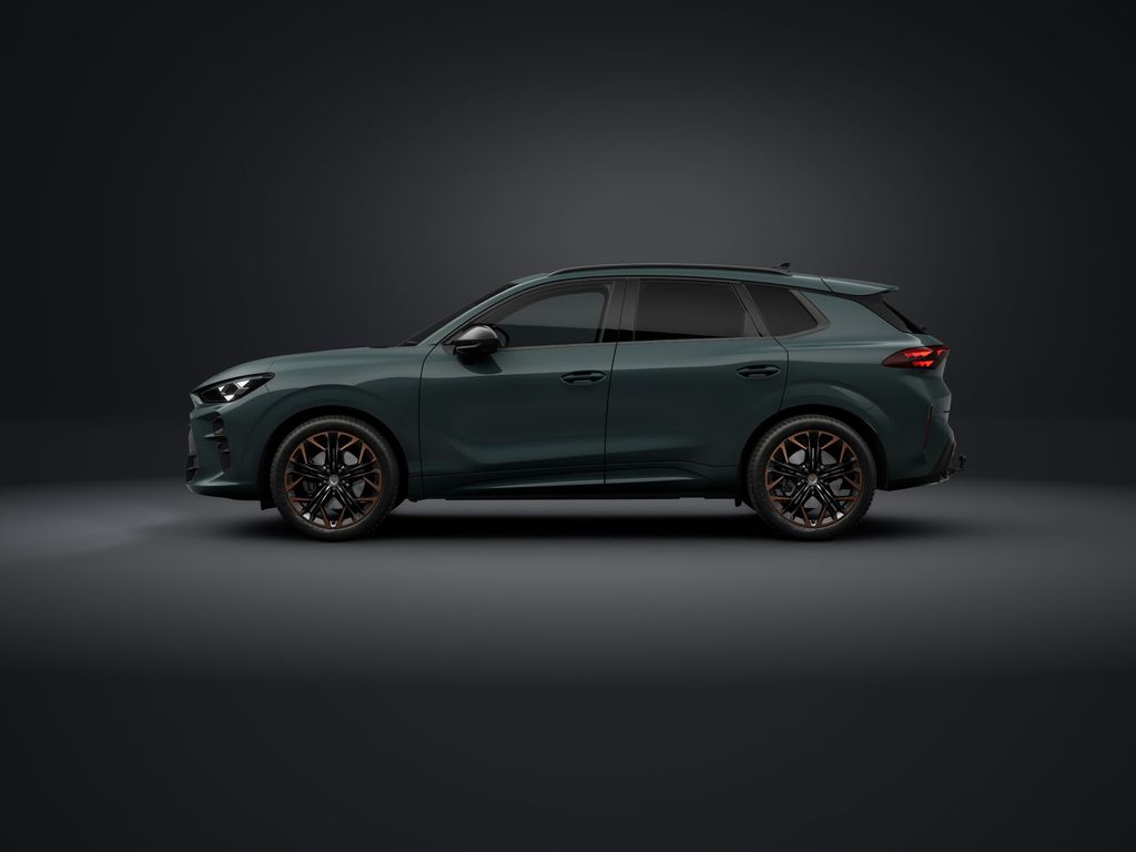 Auto Abo Foto Nummer 4 von 14