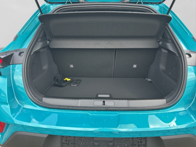 Auto Abo Foto Nummer 18 von 19