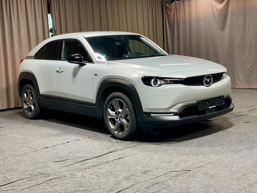 Auto Abo Foto Nummer 3 von 19