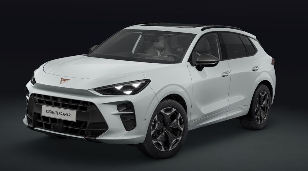 Auto Abo Foto Nummer 2 von 6