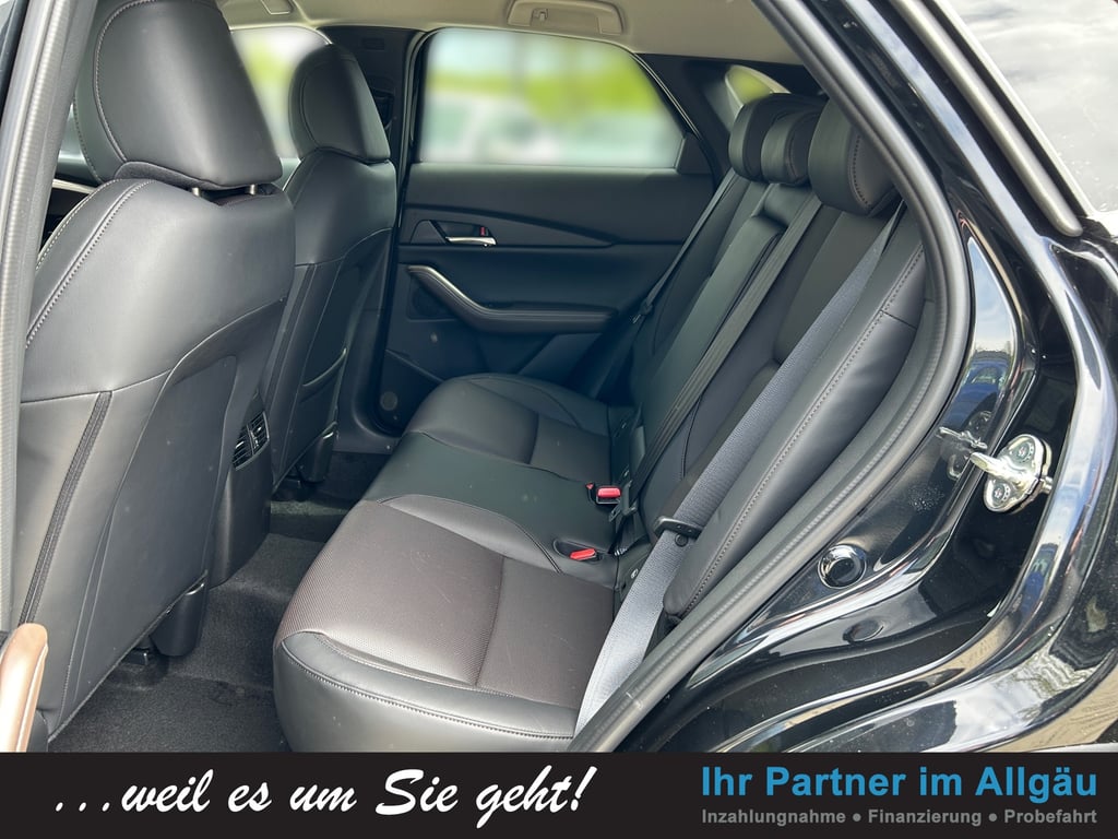 Auto Abo Foto Nummer 11 von 17