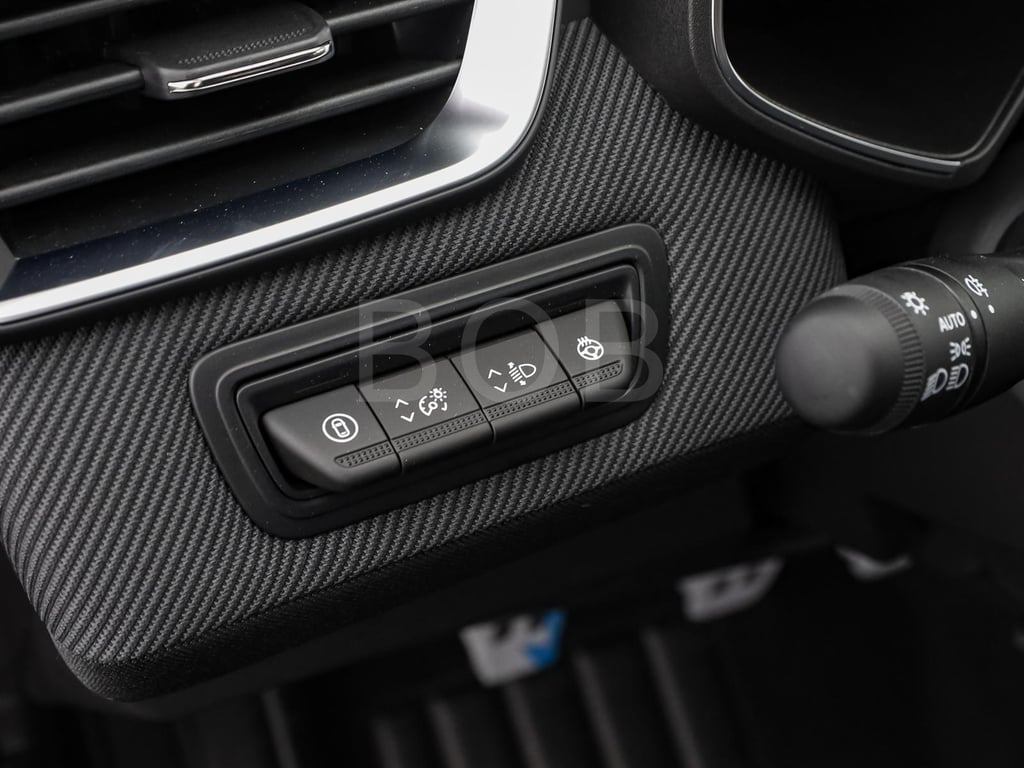 Auto Abo Foto Nummer 6 von 20