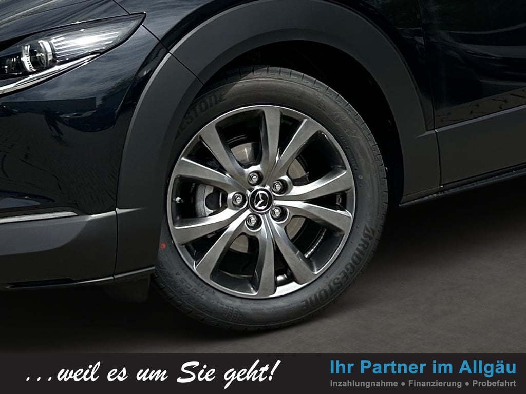 Auto Abo Foto Nummer 6 von 17
