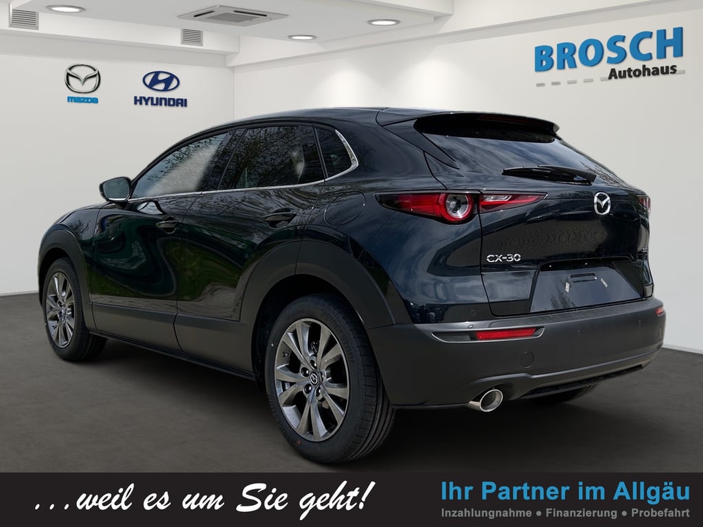 Auto Abo Foto Nummer 4 von 17