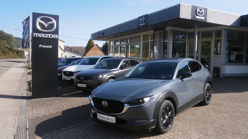 Auto Abo Foto Nummer 20 von 20