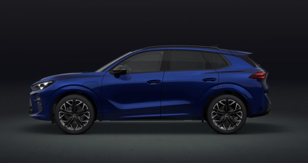 Auto Abo Foto Nummer 4 von 9