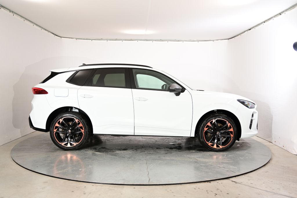 Auto Abo Foto Nummer 6 von 12