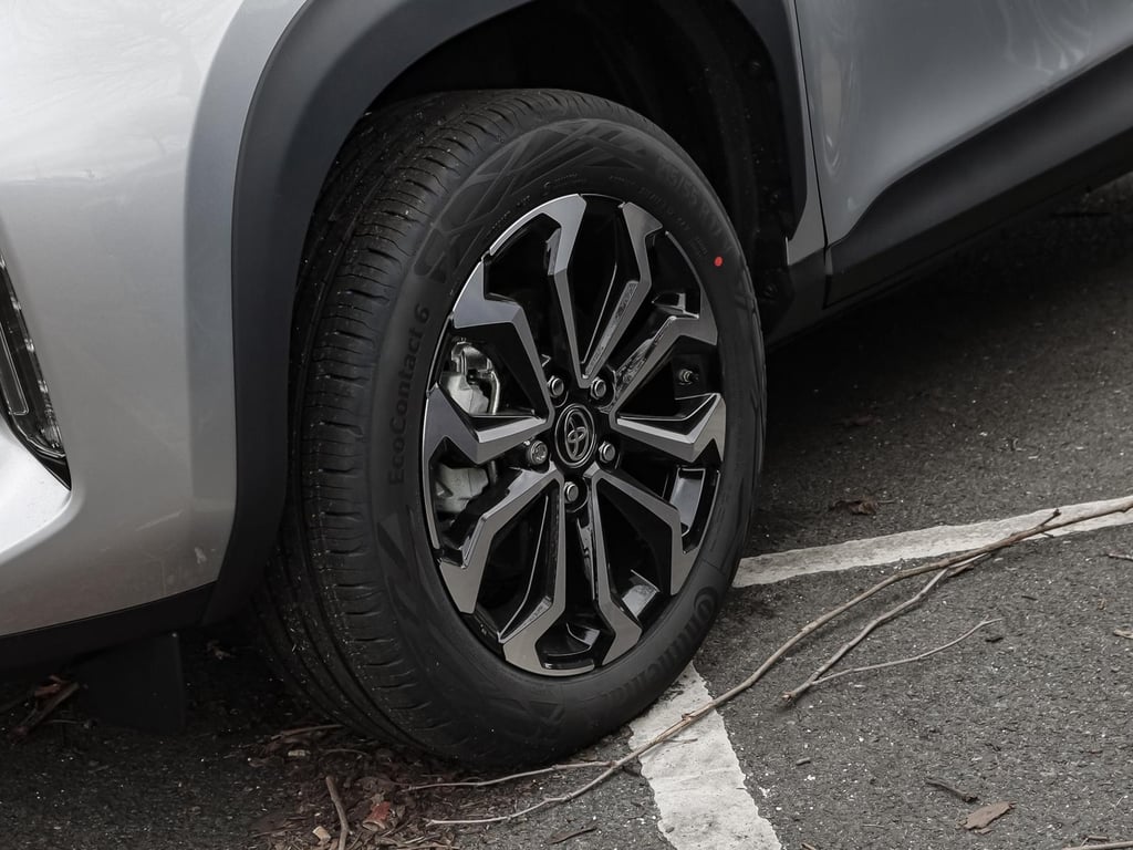 Auto Abo Foto Nummer 6 von 20