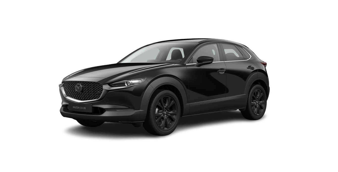 Auto Abo Foto Nummer 1 von 20