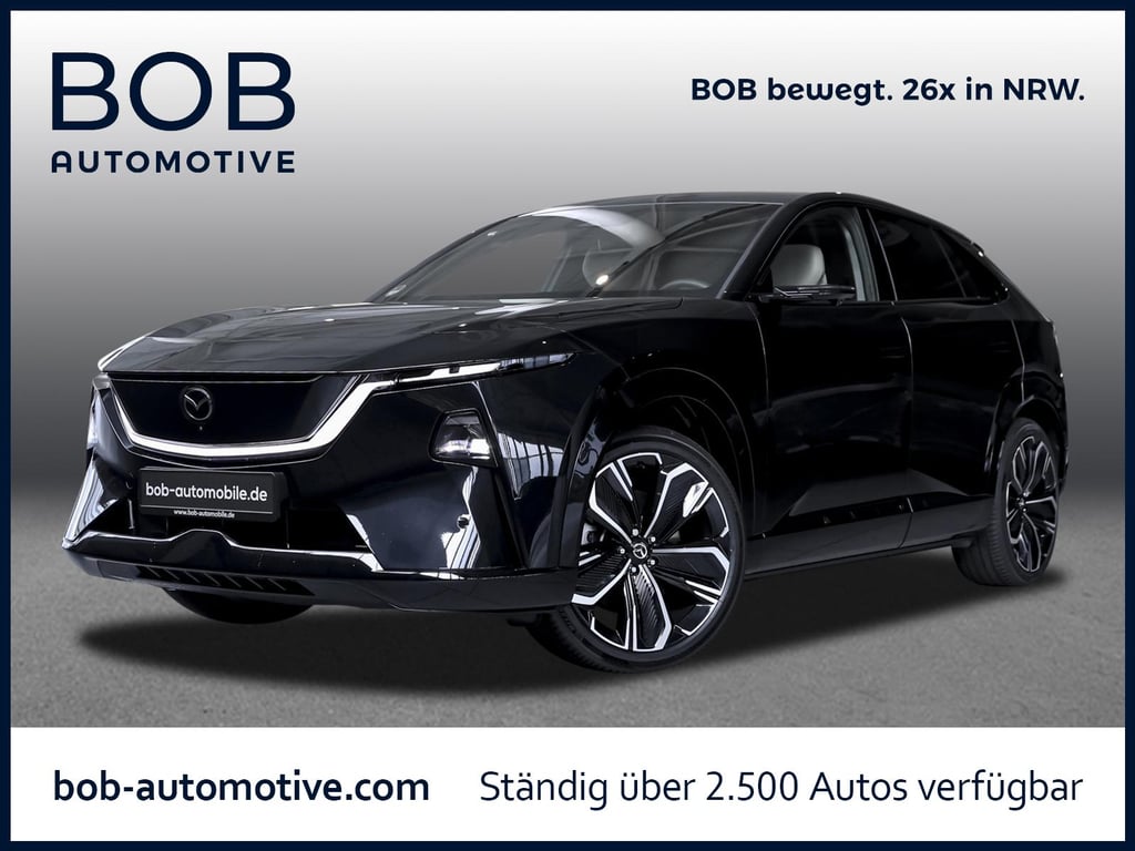 Auto Abo Foto Nummer 8 von 17