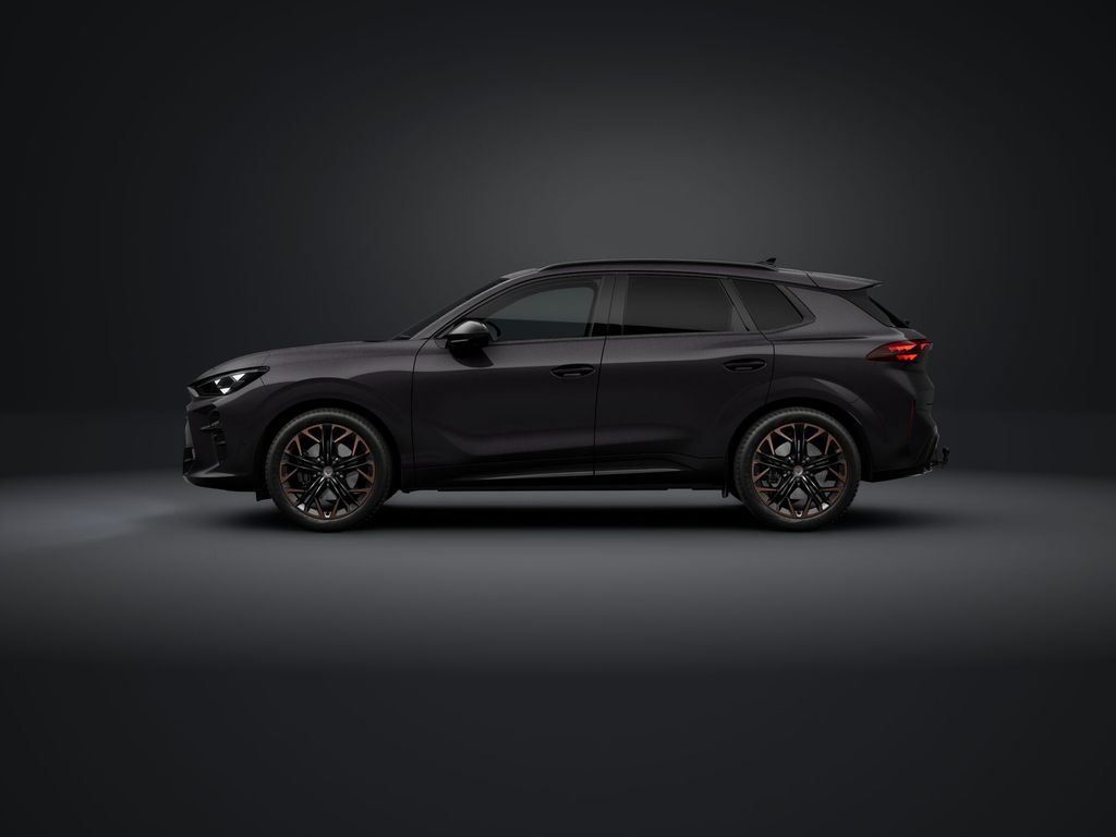 Auto Abo Foto Nummer 2 von 5