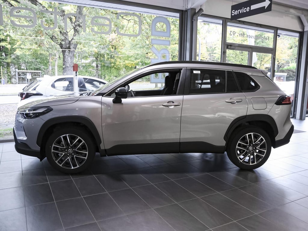 Auto Abo Foto Nummer 12 von 20