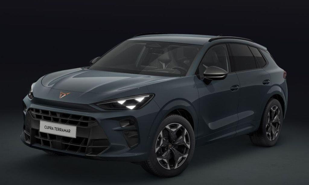 Auto Abo Foto Nummer 3 von 9