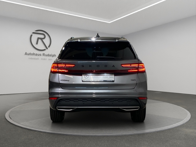 Auto Abo Foto Nummer 14 von 20