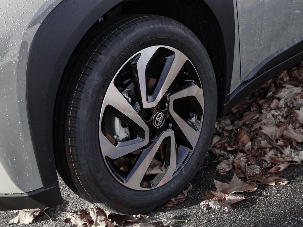 Auto Abo Foto Nummer 6 von 20