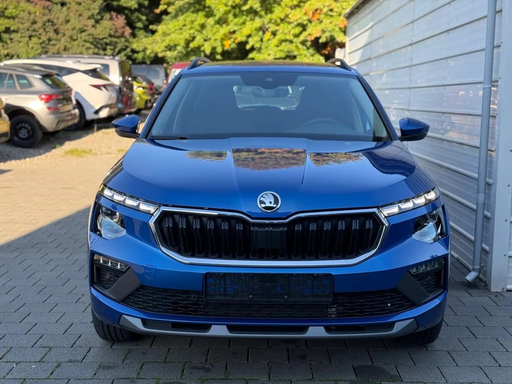 Auto Abo Foto Nummer 7 von 14