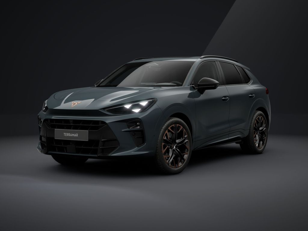 Auto Abo Foto Nummer 3 von 14