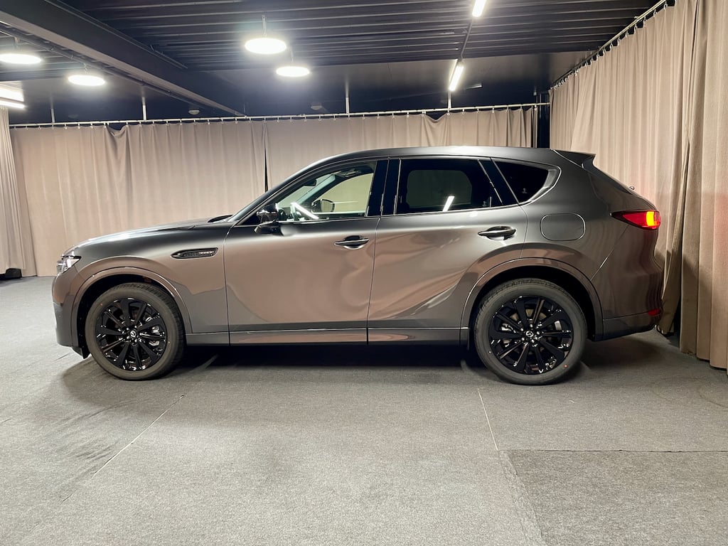 Auto Abo Foto Nummer 5 von 20