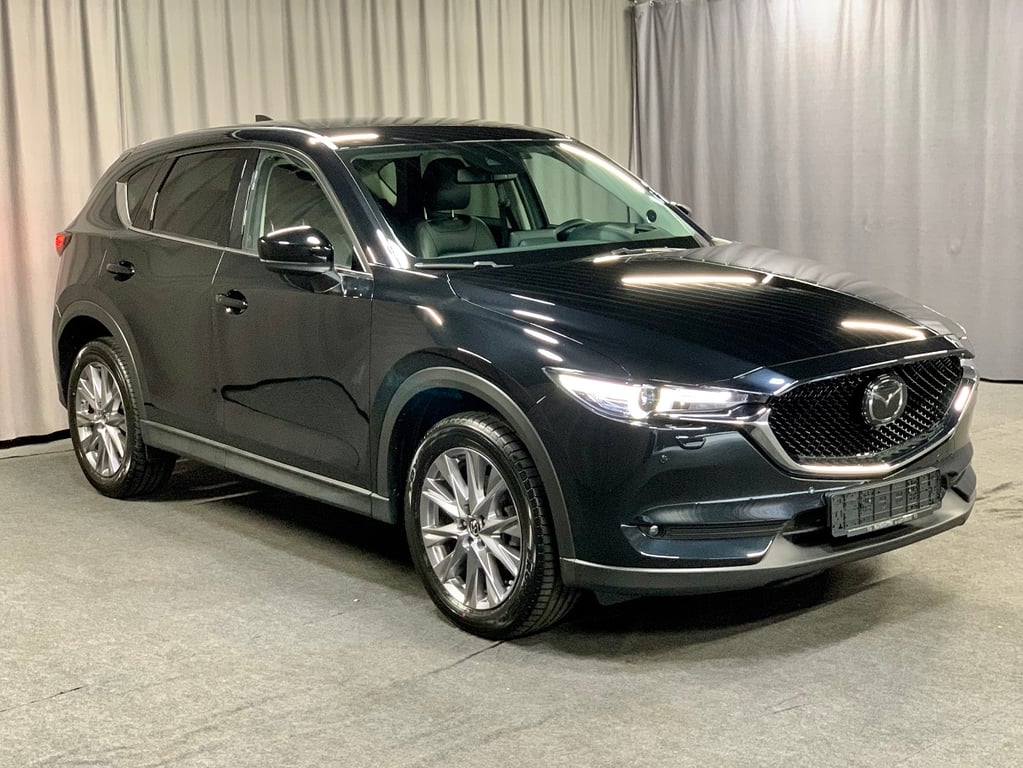 Auto Abo Foto Nummer 13 von 20