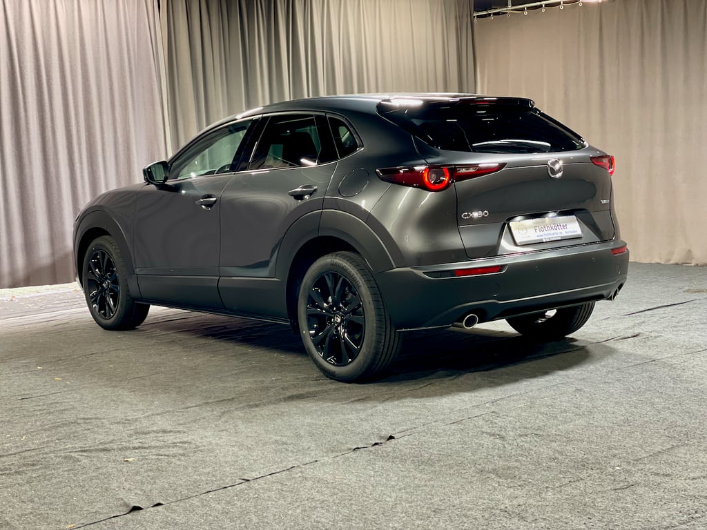 Auto Abo Foto Nummer 9 von 9