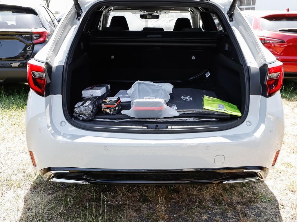 Auto Abo Foto Nummer 14 von 20