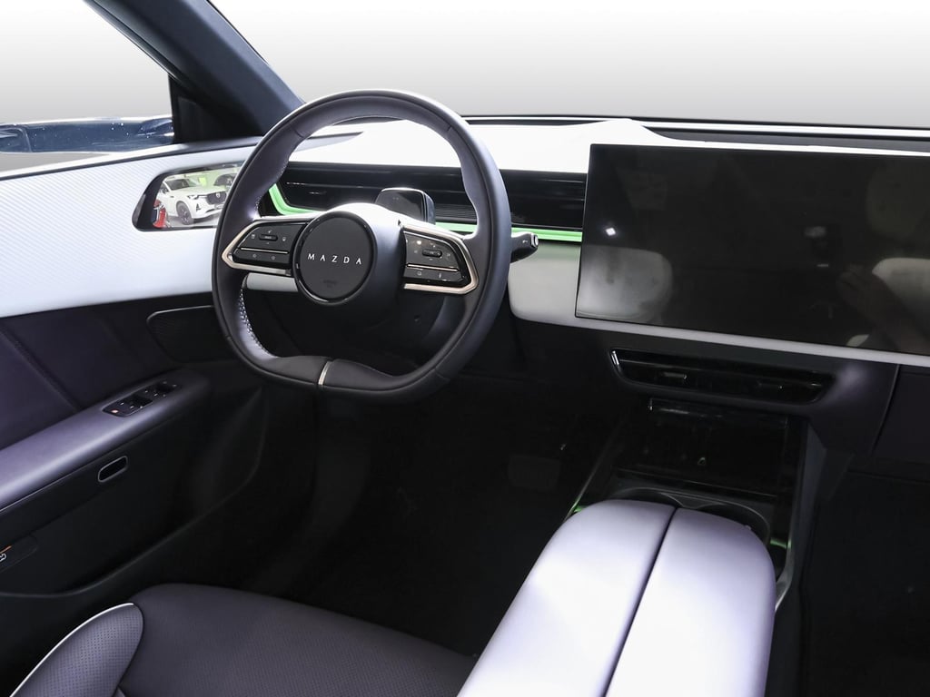 Auto Abo Foto Nummer 6 von 9