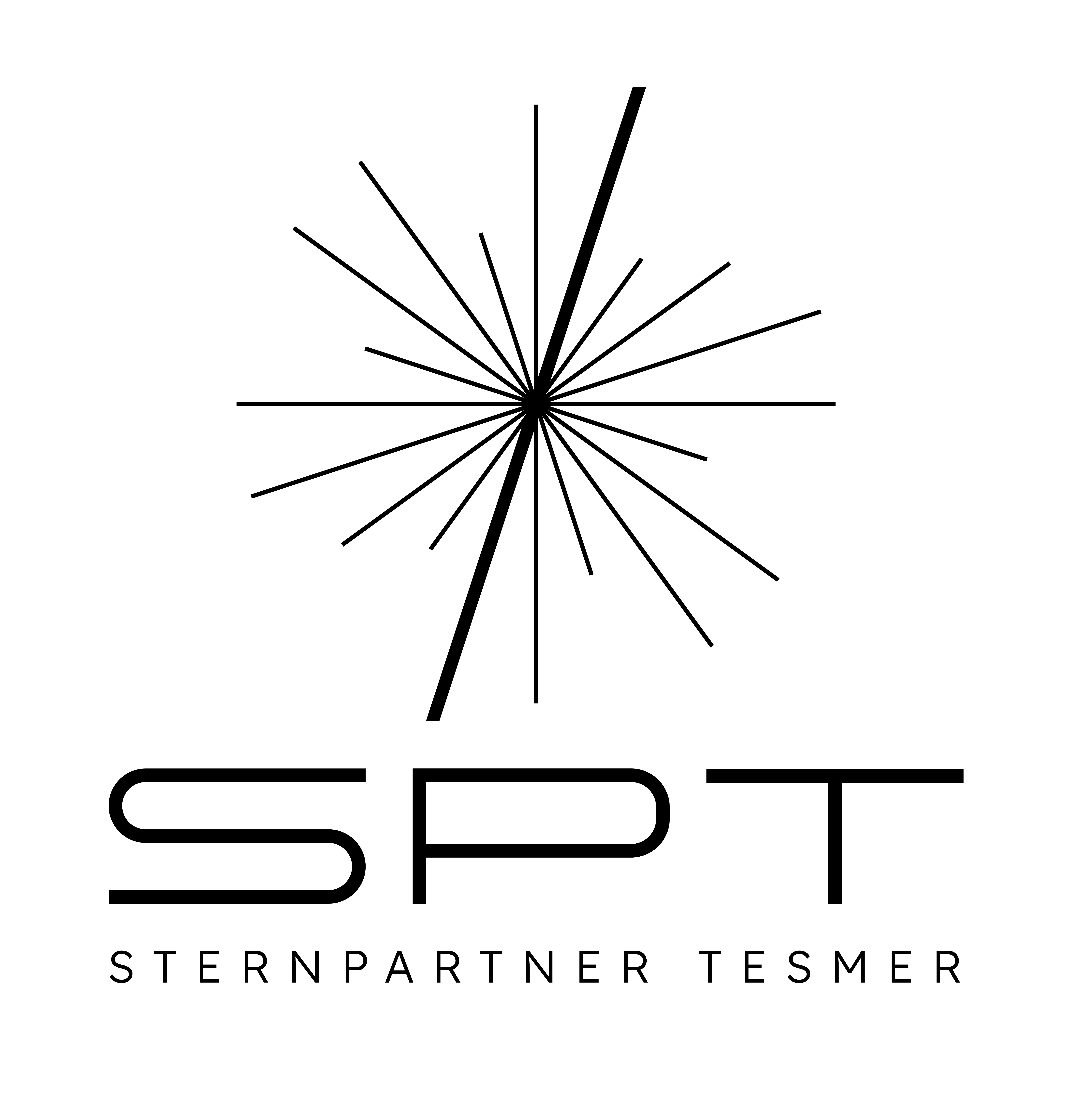 Logo von STERNPARTNER SE & Co. KG