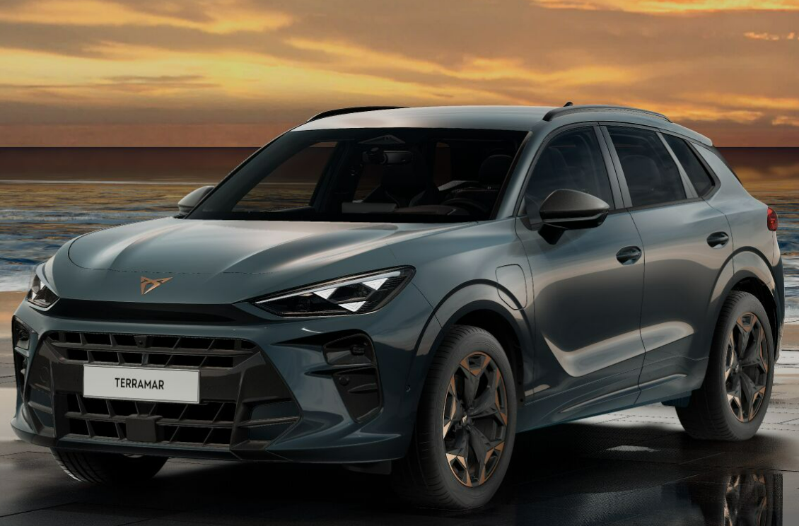 Angebotsdetails Cupra Terramar Fiord Blau